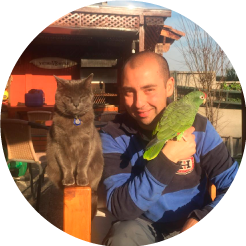 Gabriel-Ardiles-A. Gabriel-Ardiles-A.