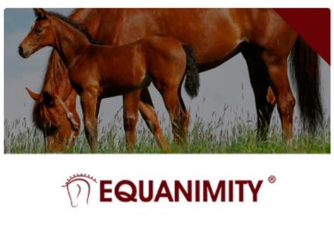 Equanimity Chemie