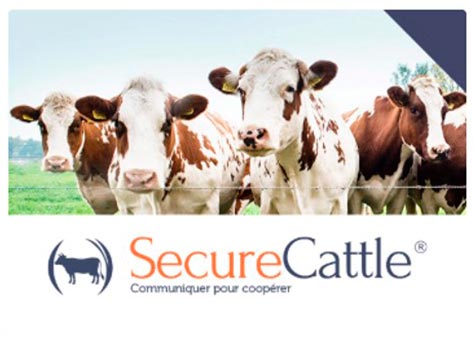 SecureCattle Chemie