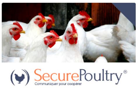 securePoultry Chemie