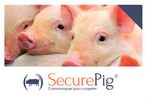 SecurePig Chemie